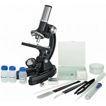 Microscopio - 300x-1200x