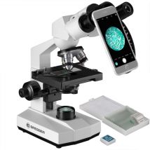 Microscopio Erudit Basic Bino 40x-400x - Bresser