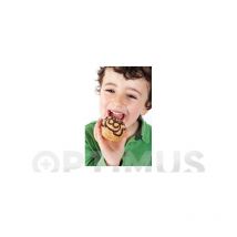 Lekue - mini cake kit silicona jungla - 0240706SURM017