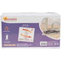 Mini corso sull'albero dei gattini