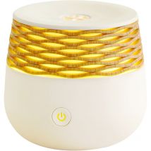 Tonchean - Diffuseur huile essentielle mini diffuseur d'aromathérapie avec bouche de brume unique humidificateur d'intérieur machine d'aromathérapie