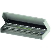 Panneau de brassage 24 ports Telegärtner 100021514 1 pc(s) S375421