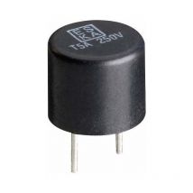 Eska - Mini-fusible 885011 rapide -f- sortie radiale rond 0.25 a 250 v 1 pc(s) S51577