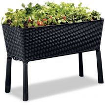 Tepro - huerto ratan easy grow 114 x 49,3 x 75,7 cm - 212820