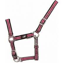 MINI MINI SHETLAND, Bleu royal / Blanc / Jaune: Carrière de poulain en nylon bicolore à double réglage avec mousqueton