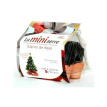 Mini serre 6 pots sapins de Noël