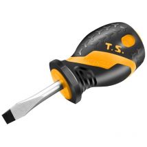 Mini tournevis fixe 6,5X38 Tolsen
