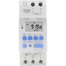 Tigrezy - Minuterie hebdomadaire 12V dc 16A, écran lcd avec fonction compte à rebours, batterie amovible