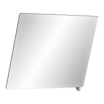Delabie - Miroir de toilette verre 500 x 600 mm inclinable avec poignée en chromé brillant