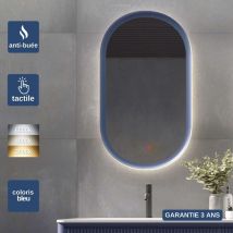 Ledimex - Miroir Salle de Bain milano Bleu 50X90cm - Led t° Variable Rétro-éclairé & Frontal - Tactiles On/Off & Anti-Buée