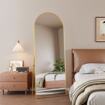Blanketswarm - Miroir sur Toute la Longueur 165x60 cm Miroir de Sol avec Support, Miroir sur Pied Arqué, Cadre en Alliage d'aluminium Miroir sur