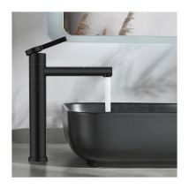 Robinet Salle de Bain Bec Haut Mitigeur Lavabo Pivotant 360° pour Vasque Robinet de Lavabo en Acier Inox Black