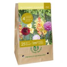 Mix Bulbes fleurs été evi