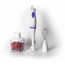 Northix - Set mixeur plongeant 3en1 250W Royalty Line RLSMS2502