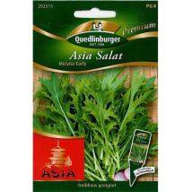 Quedlinburger Asia Salat Mizuna Early - Premium Gemüsesamen