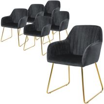 Esszimmerstühle 6er Set, Sitzfläche Aus Samt, Grau, Wohnzimmerstuhl Mit Rücken- Und Armlehnen, Küchenstuhl Gold Beine, Polsterstuhl Mit Metallgestell,