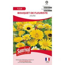 Mélange de graines de fleurs jaunes