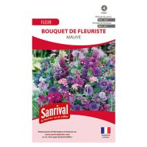 Mélange de graines de fleurs mauves