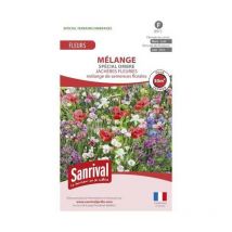 Mélange de graines Vivaces demi-ombre