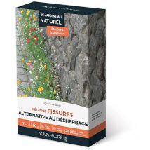 Mélange fissures : alternative au désherbage 7 m2