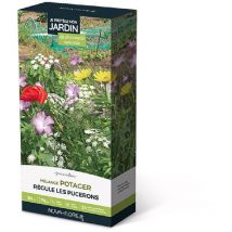 Mélange potager : régule les pucerons 30m2