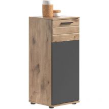 Meublorama - Möbelstück mit 1 Tür – Anthrazitgrau und helles Eichenholz – selma