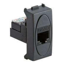 Modo RJ45 plug 8/8 31218 - Master