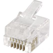 Econ Connect - MPL66 Modular-Stecker MPL66 Stecker, gerade Polzahl 6P6C Klar 1 St.