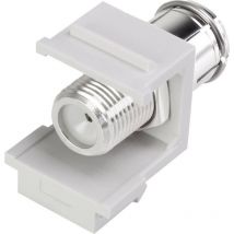 Renkforce - module coaxial encastrable keystone RF-3434006 1 pc(s)