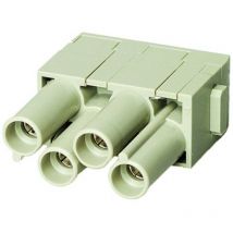 Module femelle Harting 09140043141 1 pc(s)