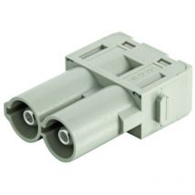 Module mâle Harting 09140022641 1 pc(s)