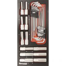 Sodise - Module mousse finition carbone cle torx hex drakkar tools - 09868
