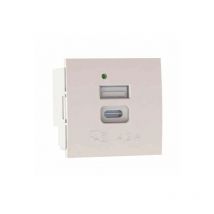 Mmconecta - Module plat 45x45 avec double chargeur usb a+c 5V 4,2A EPUAC4/4 de