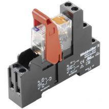 Module relais Weidmüller rcikit 24VDC 1CO led 8871000000-1 24 v/dc 16 a 1 inverseur (rt) 1 pc(s)