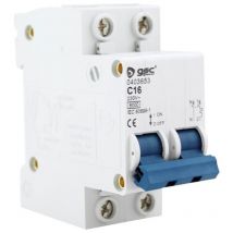 Interruptor automático 1P+N 20A GSC 000403681