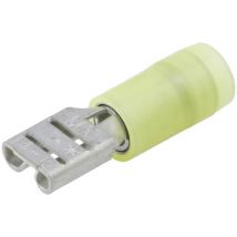 190190049 Cosse clip Largeur d'accouplement: 4.75 mm Épaisseur de contact: 0.81 mm 1 pc(s) Bulk D821672 - Molex