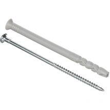 M381250pb-xj tasselli a colpire 50 pezzi 8 x 120 mm, Grigio, Set di 50 pezzi - Molly