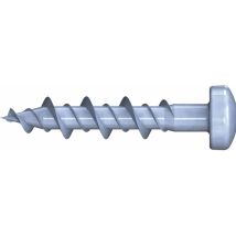 Reisser Montageschraube 6,3 X 30 Tx20 Pan Head