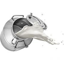 Bidon à lait en acier inoxydable de 20 litres, 5,25 gallons, seau à vin, robuste avec couvercle scellé - Mophorn