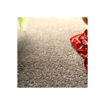 Décoweb - Moquette - Manège - Marron - Rouleau de 4m x 3m