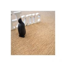 Décoweb - Moquette Tissé plat - Mahé - Naturel - Rouleau de 4m x 10m