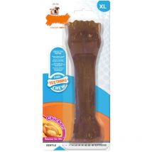 Puppybone Blister Card Souper - Nylabone