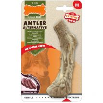 Dura Chew - Juguete masticable para perro (nailon, 4 unidades) - Nylabone