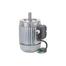 Moteur bruleur pour ELCO 13009653