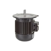 Moteur brûleur ELCO 13013124 – Puissance 550 W – Tension 230/400 V – Fréquence 50 Hz – Dimensions ø 14,5 x 46,5 mm