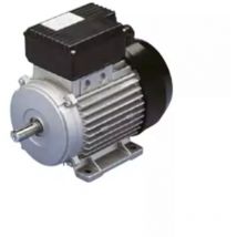 Moteur électrique 3 cv mono/tri 230/400 v Abac