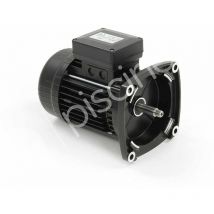 Pentair - Moteur pour pompes Ultraflow, Whisperflow et Superflo 0,75 cv Tri