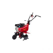 Motobineuse Euro 5 Evo moteur essence 4 temps Briggs&Stratton cr 950 Series 208 cc de'marreur manuel labourage 75 cm pour potager