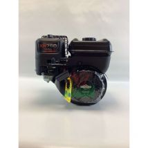 Briggs&stratton - Motore completo monocilindrico 163cc 5Hp albero orizzontale