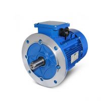 Elmar - motore elettrico trifase hp 2 kw 1,5 900 giri MEC100 B5 diametro albero 28 mm flangia 250 mm